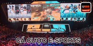 cá cược e sportrs