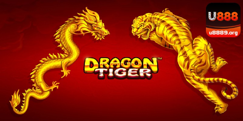 Dragon Tiger chinh phục mọi thành viên giải trí