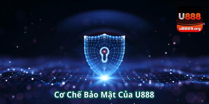Các cơ chế bảo hộ người chơi của điểm cược