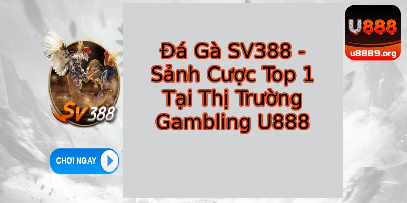 Đá Gà SV388 - Sảnh cược hàng đầu tại U888
