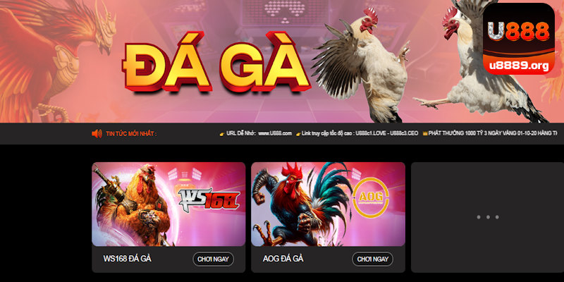 sảnh cược đá gà U888