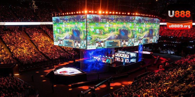 Không nên chủ quan khi tìm hiểu cược